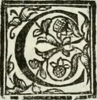 An illustration from Geneologia de gli dei : i qvin deci libri (1547)
