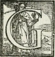 Picture 449 of 482 from Geneologia de gli dei : i qvin deci libri (1547), leaf 495