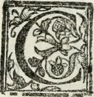 An illustration from Geneologia de gli dei : i qvin deci libri (1547)