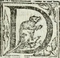 Picture 462 of 482 from Geneologia de gli dei : i qvin deci libri (1547), leaf 528