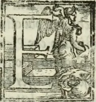 Picture 470 of 482 from Geneologia de gli dei : i qvin deci libri (1547), leaf 548