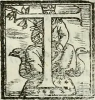 An illustration from Geneologia de gli dei : i qvin deci libri (1547)