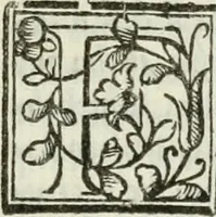 An illustration from Geneologia de gli dei : i qvin deci libri (1547)