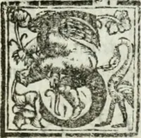 An illustration from Geneologia de gli dei : i qvin deci libri (1547)