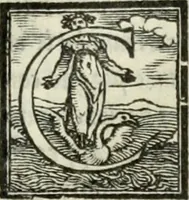 Picture 40 of 482 from Geneologia de gli dei : i qvin deci libri (1547), leaf 82