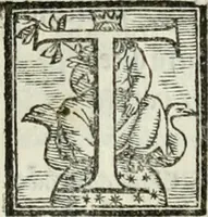 An illustration from Geneologia de gli dei : i qvin deci libri (1547)