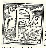 Picture 29 of 56 from Geneologia de gli dei : i quin deci libri di M. Giouanni Boccaccio, sopra la origine et discendenza di tutti gli dei de' gentili, con la spositione & sensi allegorici delle fauole, & con la dichiaratione dell'historie appartenenti à detta materia (1547), leaf 301