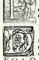 Picture 46 of 56 from Geneologia de gli dei : i quin deci libri di M. Giouanni Boccaccio, sopra la origine et discendenza di tutti gli dei de' gentili, con la spositione & sensi allegorici delle fauole, & con la dichiaratione dell'historie appartenenti à detta materia (1547), leaf 483