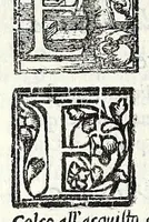 Picture 48 of 56 from Geneologia de gli dei : i quin deci libri di M. Giouanni Boccaccio, sopra la origine et discendenza di tutti gli dei de' gentili, con la spositione & sensi allegorici delle fauole, & con la dichiaratione dell'historie appartenenti à detta materia (1547), leaf 486
