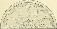Picture 546 of 813 from General catalogue : Huttig Sash & Door Co. (1900), leaf 435