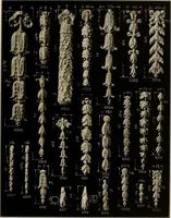 Picture 99 of 204 from The general catalogue of Jacobson & co (1915), leaf 101