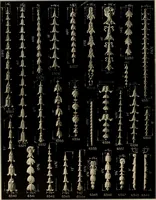 An illustration from The general catalogue of Jacobson & co (1915)