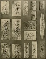 Picture 147 of 204 from The general catalogue of Jacobson & co (1915), leaf 141