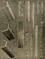 An illustration from The general catalogue of Jacobson & co (1915)