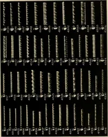 An illustration from The general catalogue of Jacobson & co (1915)