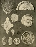 An illustration from The general catalogue of Jacobson & co (1915)