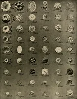 An illustration from The general catalogue of Jacobson & co (1915)