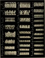An illustration from The general catalogue of Jacobson & co (1915)
