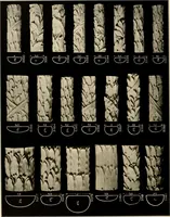 Picture 23 of 204 from The general catalogue of Jacobson & co (1915), leaf 38