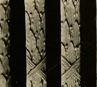 Picture 25 of 204 from The general catalogue of Jacobson & co (1915), leaf 39