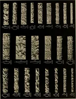 An illustration from The general catalogue of Jacobson & co (1915)