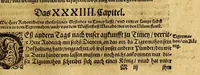 An illustration from General Chronica, das ist: Warhaffte eigentliche vnd kurtze Beschreibung, vieler namhaffter, vnd zum Theil biss daher vnbekannter Landtschafften, : erstlich dess Grossmechtigen vnd gewaltigen Herrn Priester Johan[n]s, Königs in Morenlandt, Königreichen vnd Herrschafften, auch derselbigen beyde geistliche vnd weltliche Regiment. Zum andern ein gemeine Beschreibung dess gantzen Erdbodems, in drey Bücher getheilt, nemlich, Asiam, Aphricam, vnd Europam, vnd was sich fürnemlich darinnen für guts und böses, zu Wasser und Landt, mit Krieg, Brunst, Hunger vnd dergleichen, von anfang der Welt, biss vff erbauwung der Statt Rom, vnd von dannen biss zu der Zeit Honorii vnd Theodosii, begeben vnd zugetrragen hat. Zum dritten vnd letzten, ein kurtzer Summarischer doch verstendtlicher Ausszug vnd Beschreibung der neuw erfundenen Inseln, Americe vnd Magellane, so man die neuwe Welt pflegt zu nennen. Darinnen alle Völcker vnd Nationen, die in der gantzen Welt (als viel deren jetziger Zeit bekannt sind) wohnen, sampt ihrer Ankunfft und Herkommen, auch Art vnd Natur, item Ceremonien und Gebräuchen in geistlichen und weltlichen sachen, trewlich beschrieben, vnd gleich als in einer Tafel abgemalt, für die Augen gestelt werden. Jetzt auffs neuw mit sonderm grossen fleiss, besser als zuuor, beschrieben vnd verteutscht, auch mehrer richtigkeit halben in drey vnderschiedliche Bücher getheilt, dergleichen noch niemals aussgangen (1581)