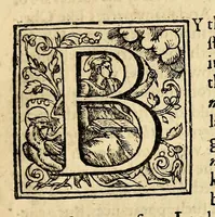 Picture 4 of 7 from The generall historie of Virginia, New-England, and the Summer Isles: with the names of the adventurers, planters, and governours from their first beginning. an[n]o 1584. to this present 1626. : With the procedings of those severall colonies and the accidents that befell them in all their journyes and discoveries. Also the maps and descriptions of all those countryes, their commodities, people, government, customes, and religion yet knowne. Divided into sixe bookes. (1632), leaf 41