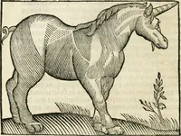 An illustration from Govierno general, moral, y politico. Hallado en las fieras y animales sylvestres. Sacado de sus naturales virtudes, y propiedades. Con particular table para sermones varios de tiempo y de santos (1696)