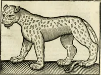 An illustration from Govierno general, moral, y politico. Hallado en las fieras y animales sylvestres. Sacado de sus naturales virtudes, y propiedades. Con particular table para sermones varios de tiempo y de santos (1696)