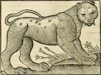An illustration from Govierno general, moral, y politico. Hallado en las fieras y animales sylvestres. Sacado de sus naturales virtudes, y propiedades. Con particular table para sermones varios de tiempo y de santos (1696)