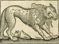 An illustration from Govierno general, moral, y politico. Hallado en las fieras y animales sylvestres. Sacado de sus naturales virtudes, y propiedades. Con particular table para sermones varios de tiempo y de santos (1696)