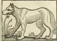 An illustration from Govierno general, moral, y politico. Hallado en las fieras y animales sylvestres. Sacado de sus naturales virtudes, y propiedades. Con particular table para sermones varios de tiempo y de santos (1696)