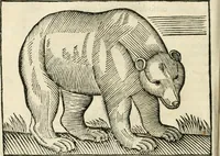 An illustration from Govierno general, moral, y politico. Hallado en las fieras y animales sylvestres. Sacado de sus naturales virtudes, y propiedades. Con particular table para sermones varios de tiempo y de santos (1696)