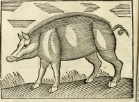 An illustration from Govierno general, moral, y politico. Hallado en las fieras y animales sylvestres. Sacado de sus naturales virtudes, y propiedades. Con particular table para sermones varios de tiempo y de santos (1696)