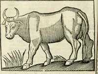 An illustration from Govierno general, moral, y politico. Hallado en las fieras y animales sylvestres. Sacado de sus naturales virtudes, y propiedades. Con particular table para sermones varios de tiempo y de santos (1696)