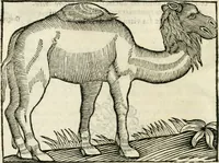 An illustration from Govierno general, moral, y politico. Hallado en las fieras y animales sylvestres. Sacado de sus naturales virtudes, y propiedades. Con particular table para sermones varios de tiempo y de santos (1696)