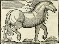 An illustration from Govierno general, moral, y politico. Hallado en las fieras y animales sylvestres. Sacado de sus naturales virtudes, y propiedades. Con particular table para sermones varios de tiempo y de santos (1696)