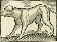 An illustration from Govierno general, moral, y politico. Hallado en las fieras y animales sylvestres. Sacado de sus naturales virtudes, y propiedades. Con particular table para sermones varios de tiempo y de santos (1696)
