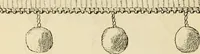 An illustration from General price list. (1904)