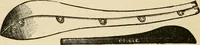 An illustration from General price list. (1904)