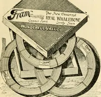An illustration from General price list. (1904)