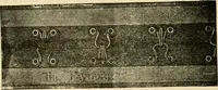 An illustration from General price list. (1904)