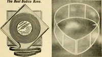 An illustration from General price list. (1904)