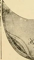 An illustration from General price list. (1904)