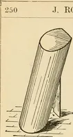An illustration from General price list. (1904)
