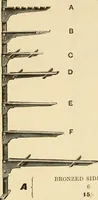 An illustration from General price list. (1904)