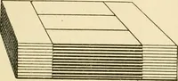 An illustration from General price list. (1904)