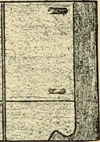 An illustration from General price list. (1904)
