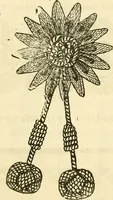 An illustration from General price list. (1904)