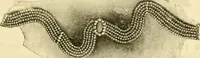 An illustration from General price list. (1904)